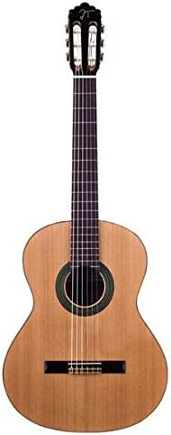 JOSE TORRES JTC 20 - Guitarras José Torres