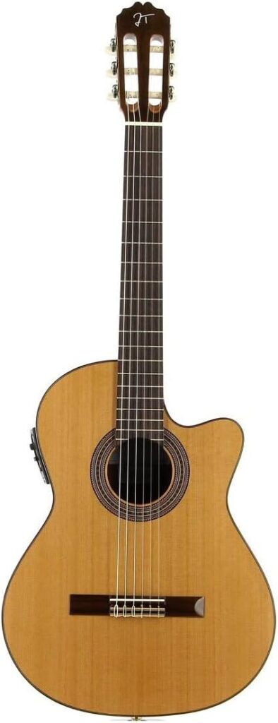 JOSE TORRES JTC 20CE - Guitarras José Torres