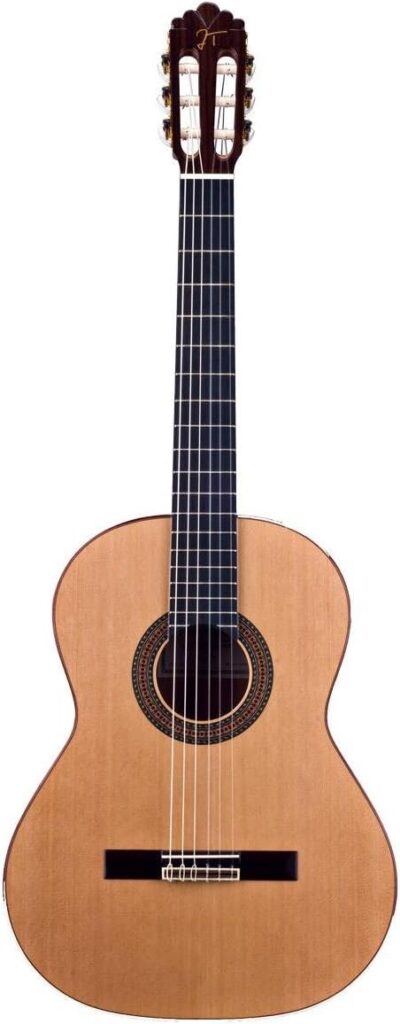 JOSE TORRES JTC 40 - Guitarras José Torres