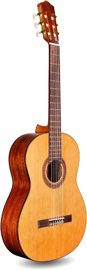 cordoba c5 - Guitarra Navarrez NV12