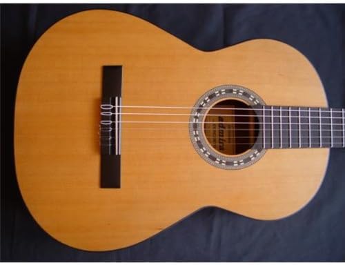 Admira Concerto enfrente - Top 5 🔝 Guitarras de Alta Gama para Profesionales