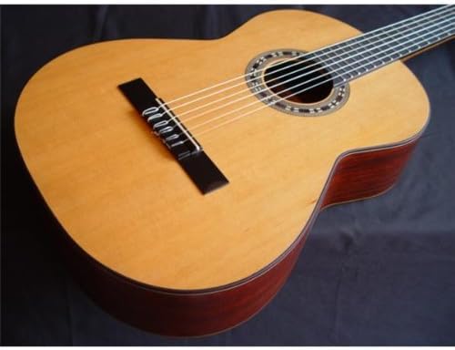 Admira concerto parte superior - Top 5 🔝 Guitarras de Alta Gama para Profesionales