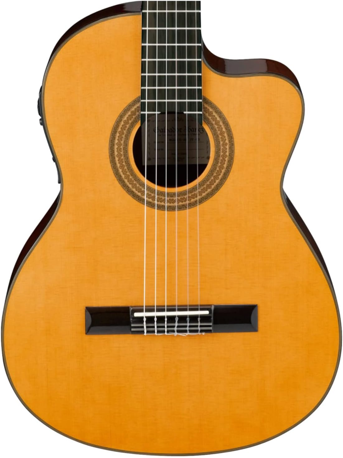 Ibanez AEQ2T centro - Top 5 🔝 Guitarras de Alta Gama para Profesionales
