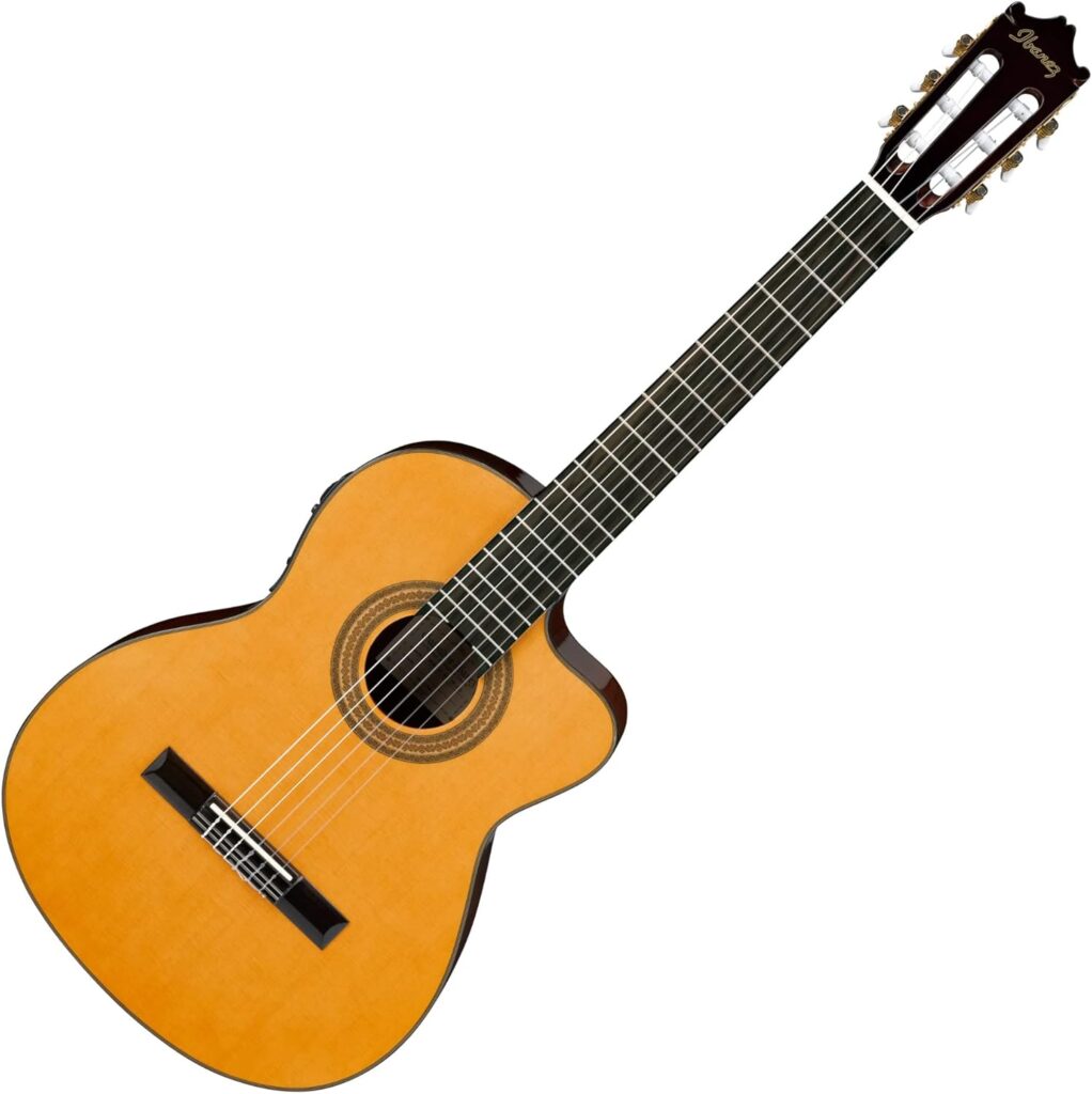 Ibanez AEQ2T diagonal - Top 5 🔝 Guitarras de Alta Gama para Profesionales