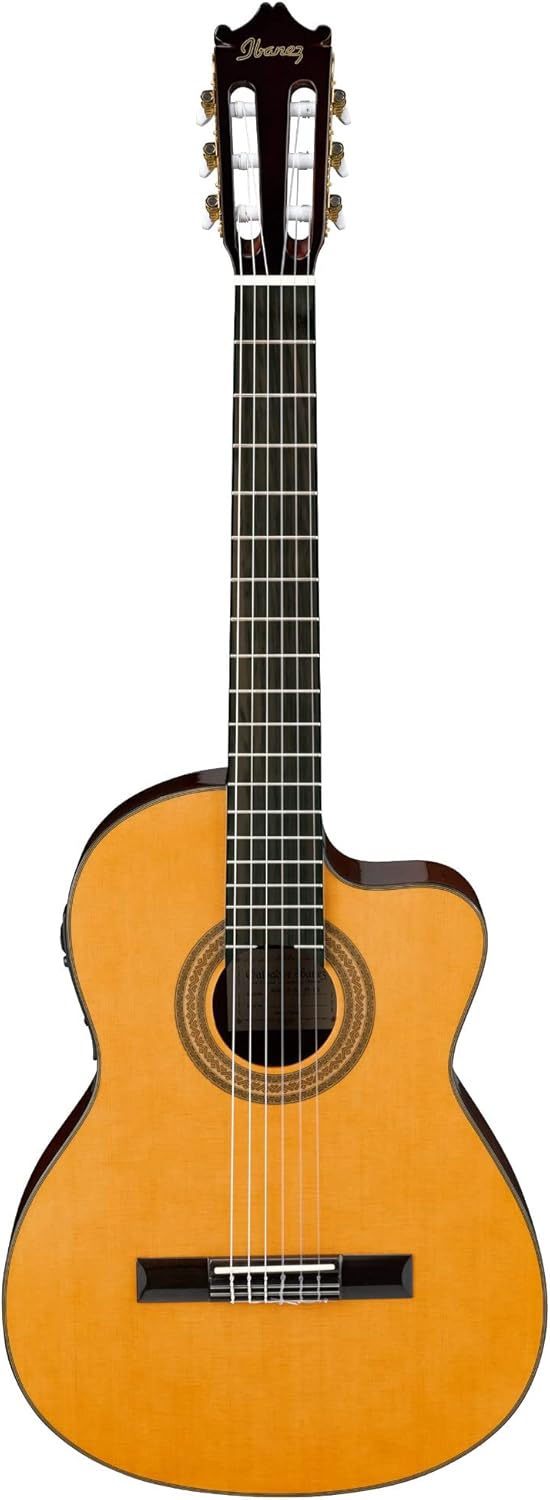 Ibanez AEQ2T - Top 5 🔝 Guitarras de Alta Gama para Profesionales