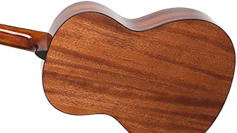 Epiphone Pro 1 Classic atras - Mejores Guitarras Españolas Para Principiantes